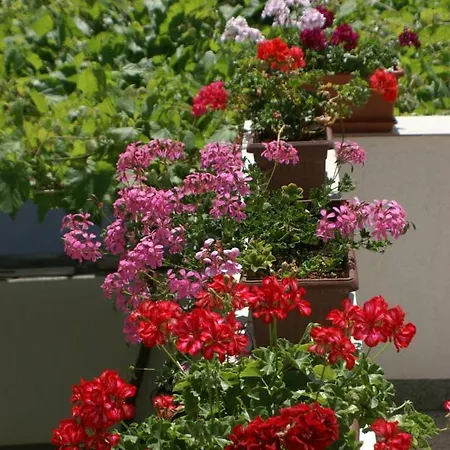 Lejlighed With Parking Space - 4192 Vodice