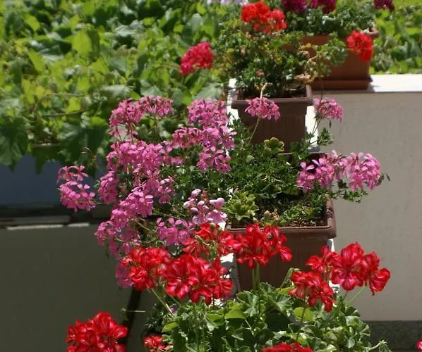 Appartement With Parking Space - 4192 Vodice